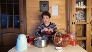 Нетоварная переработка и применение ягод, цветов и коры калины | кафедра охотоведения | охотовед.pw