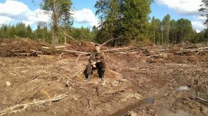 Эпизод 1: Тверская область, Удомельский район, после леса...