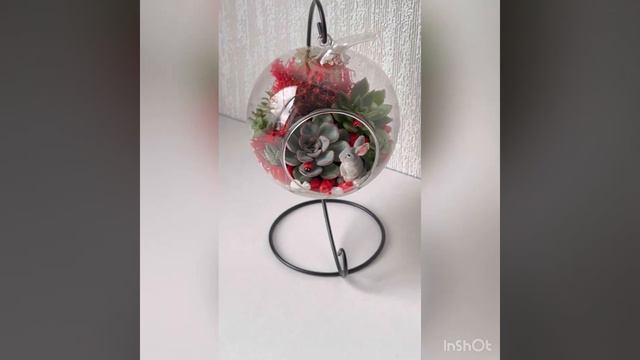 Флорариум 2023 символ года смотреть онлайн