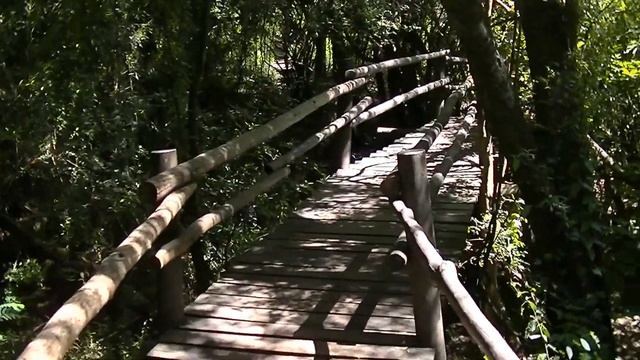 Национальный парк Аргентины - El Palmar. National Park Argentina. смотреть онлайн