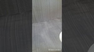 Журнальный столик из лепестков роз. Декор журнального столика своими руками. Эпоксидная смола.