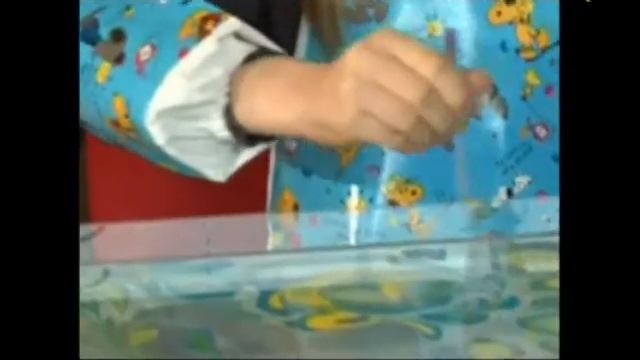 Игры с использованием водной анимации от ИА "Солянка" смотреть онлайн