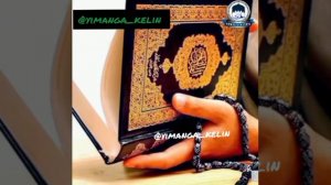 Шейх Алижан каары Чубак Ажы тууралуу айтты!