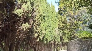 Симеиз 2021, Ассоль 2* Крым. за 23000 руб на 4 человека