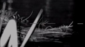 ультра 355 бобер