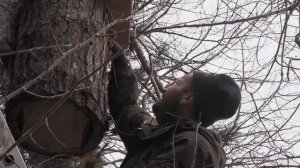 Установка дуплянок гоголятников в Забайкальском национальном парке