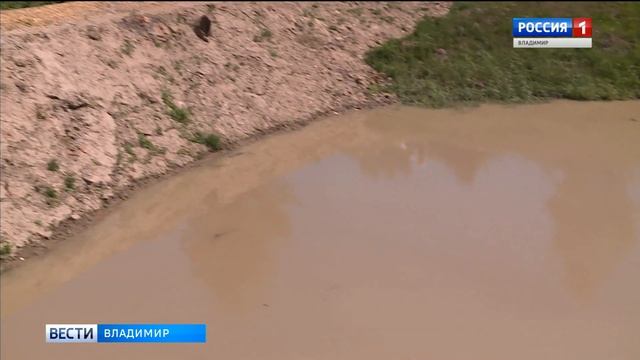 Восстановленный пруд в Кольчугино смотреть онлайн