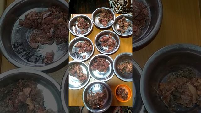 Чем кормить чихуахуа