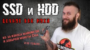 МАЙНИНГ УНИЧТОЖАЕТ SSD за несколько недель - ферма для Чиа (Chia) и как лучше её создать