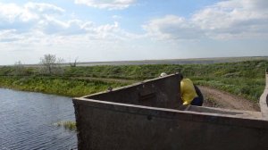 Разведение рыбы. Дафниевая яма. Карагандинский рыбопитомник.