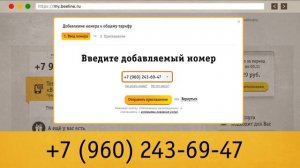 Все для семьи - Семейные тарифы Билайн