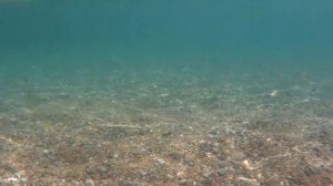 Большие сиськи на море в Греции