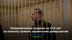 Хабаровчанина осудили на 12,5 лет за попытку помочь украинским диверсантам