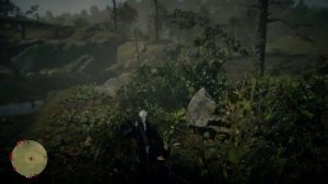 Карта сокровищ Южный Роанок (все места) в Red Dead Redemption 2 Online PC