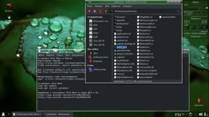 Debian.ч12. Установка браузера Pale Moon