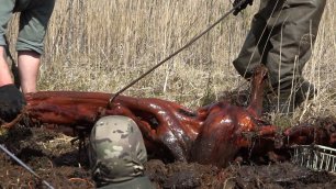 Нашли без вести пропавших солдат в Болоте, раскопки Юрий Гагарин