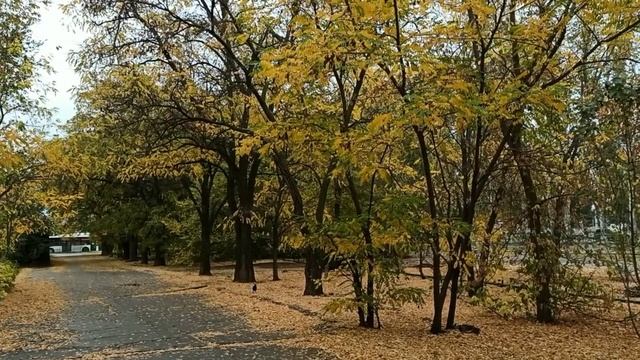 around a hospital смотреть онлайн