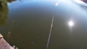 Рыбалка на фидер, снасть на карпа и карася ловит на новом водоеме. My fishing