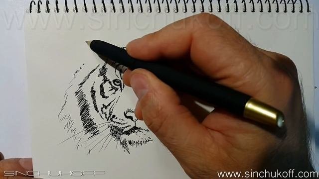 Рисуем ТИГРА