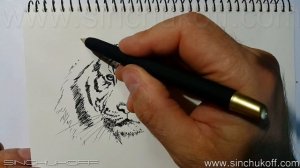 Рисуем ТИГРА