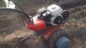 Копание картошки культиватором pubert vario