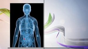 Атавизмы. Популярная наука с Анной Урманцевой.