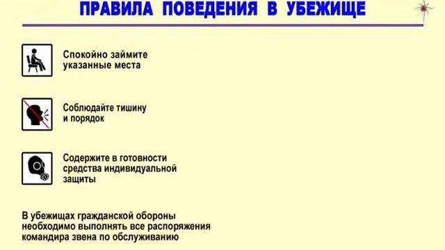 Правила поведения в убежище