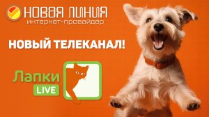 Новый телеканал "ЛАПКИ LIVE" в базовом пакете интерактивного телевидения NewTV | С нами лучше!