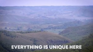 Заповедник «Шайтан-Тау» – это твой заповедник