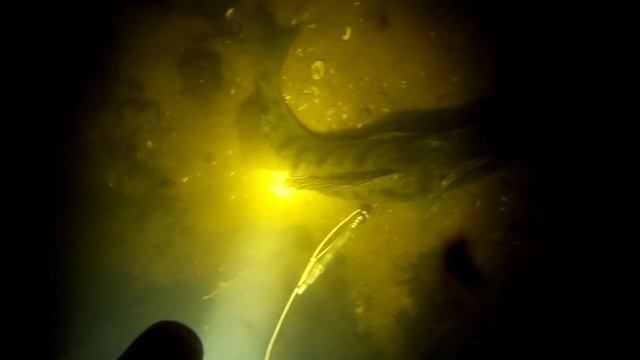 Подводная охота перед запретом 2016 смотреть онлайн