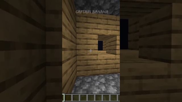 MINECRAFT.EXE [3]