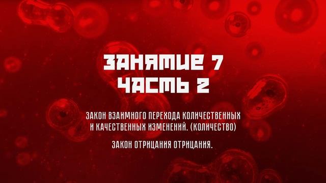 Занятие 7, часть 2. Законы диалектики смотреть онлайн
