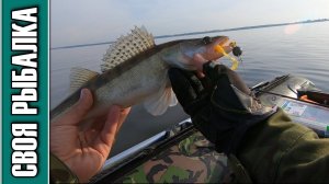 Рыбалка на Иваньковском водохранилище, отчёт о рыбалке