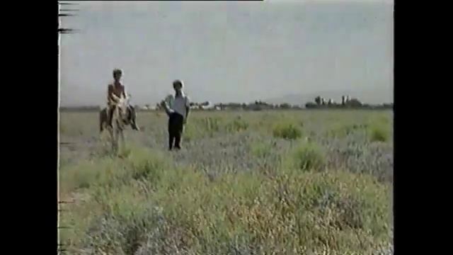 КАША ИЗ ТОПОРА (1997)