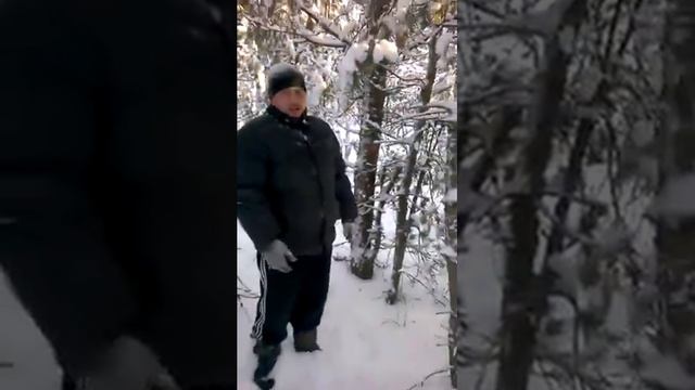 Прогулка по зимнему лесу) смотреть онлайн