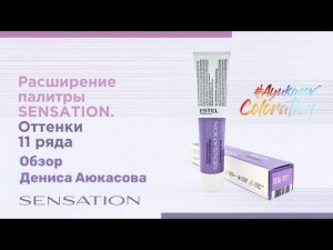 11/X | Расширение палитры Sensation DeLuxe ESTEL | Обзор Дениса Аюкасова