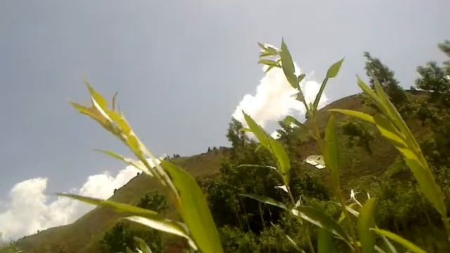 Хужа Асмин Сурхандарья Узбекистан #узбекистан #река #природа #гора