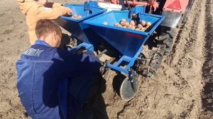 Как мы всей семьёй картошку сажали картофелесажалкой