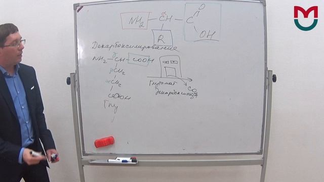 Обмен Аминокислот 1 часть