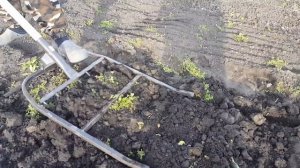 Рыхлитель чудо лопата