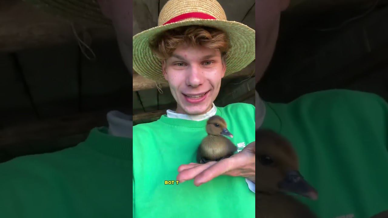 Я Кирилл - фермер и огородник в 20 лет Подписывайся, у нас интересно и весело ✅ смотреть онлайн