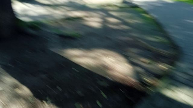 я показал своё лицо! смотреть онлайн