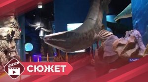 Самый крупный океанариум России находится во Владивостоке