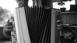 Червона рута, Водограй - на баяне, Тавричанка