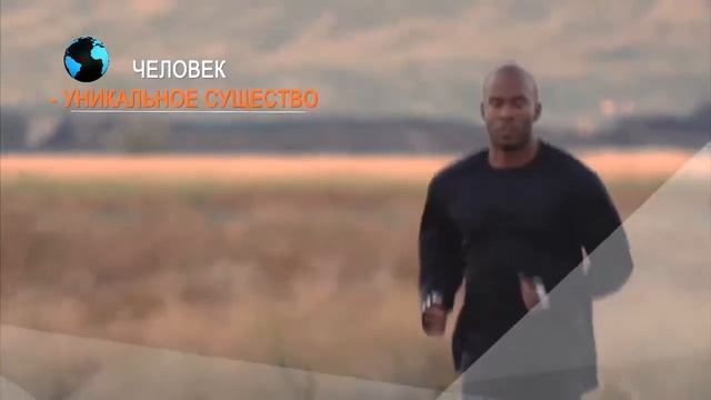 Теория Дарвина / Theory of Darwin