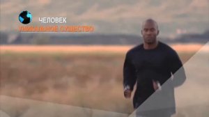 Теория Дарвина /  Theory of Darwin