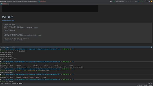Task - 5 | docker run | Expose port | pull policy | environment vars смотреть онлайн