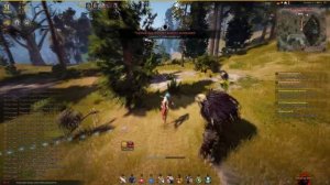 Black Desert (RU) - Фарм серебра. Спот со скелетами / Заработок + прокачка