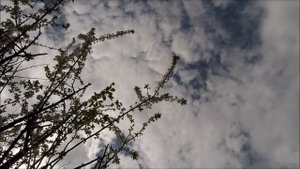 Жениться - это... мужской взгляд | Создать семью | Жениться | Современная семья | ТРЭШ Labs