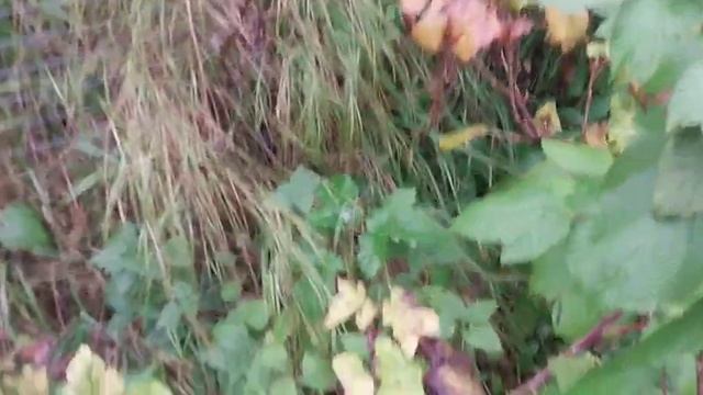 итоги 2023 смотреть онлайн